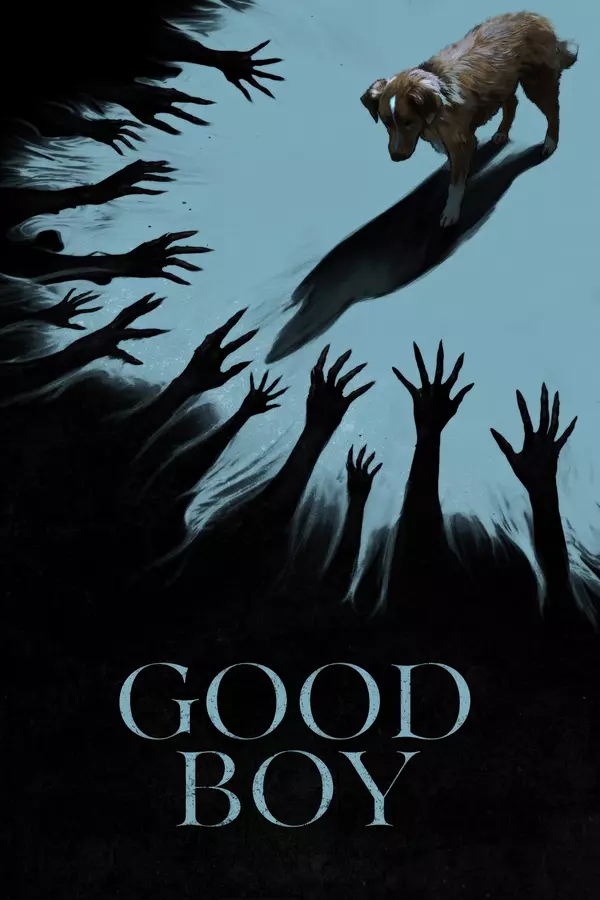 Movie poster of: Good Boy