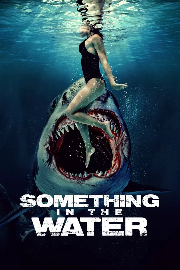Movie poster of: Something in the Water