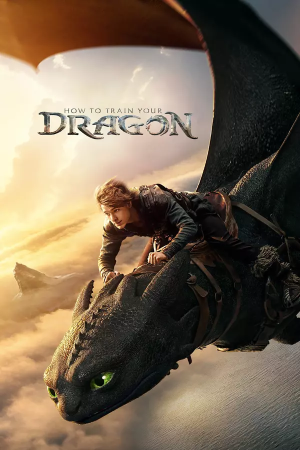 Movie poster of: How to Train Your Dragon